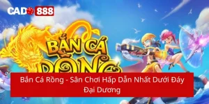 Bắn cá rồng