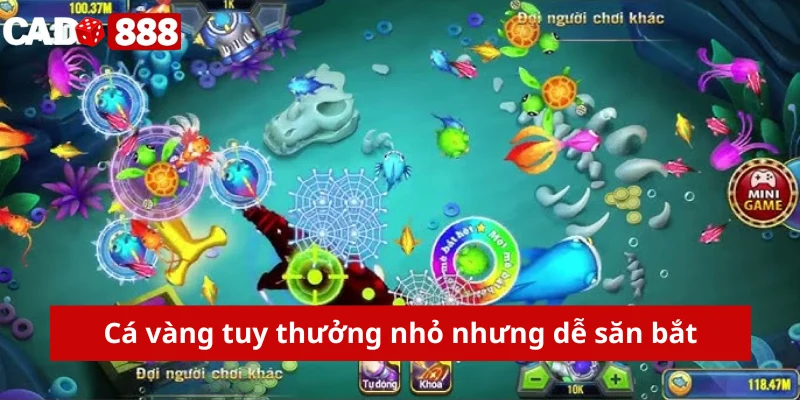 Cá vàng tuy thưởng nhỏ nhưng dễ săn bắt