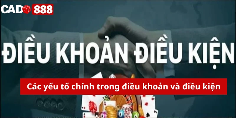 Các yếu tố chính trong điều khoản và điều kiện