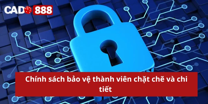 Chính sách bảo vệ thành viên chặt chẽ và chi tiết 