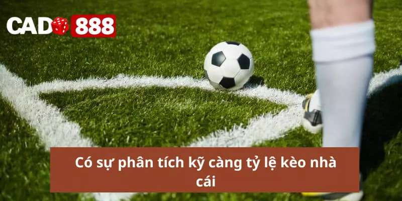 Có sự phân tích kỹ càng tỷ lệ kèo nhà cái