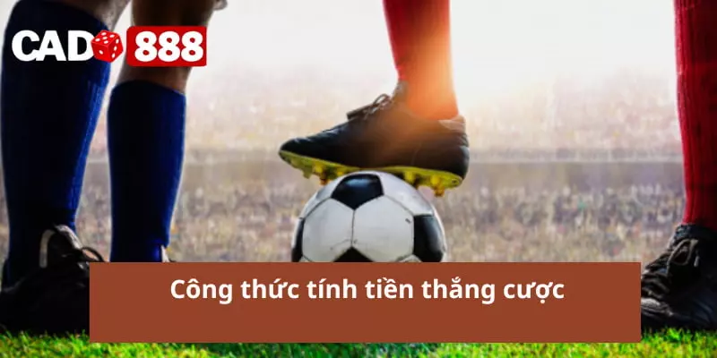 Công thức tính tiền thắng cược