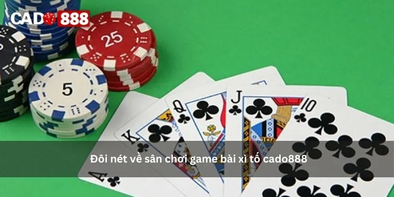 xì tố cado888