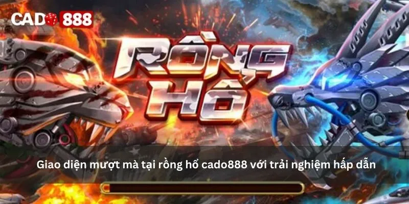 rồng hổ cado888