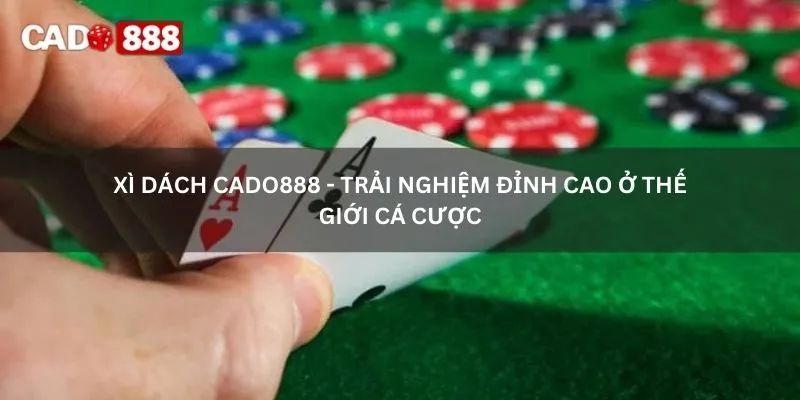 xì dách cado888