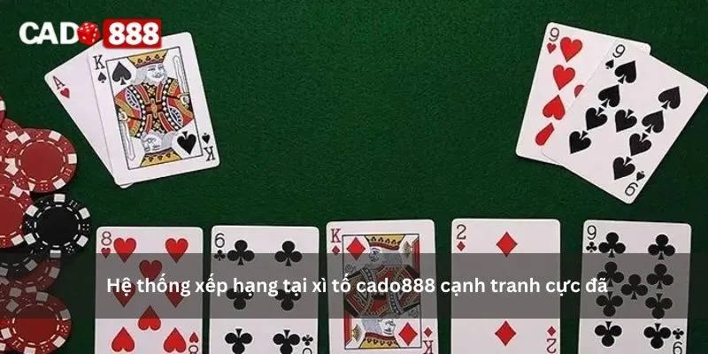 xì tố cado888