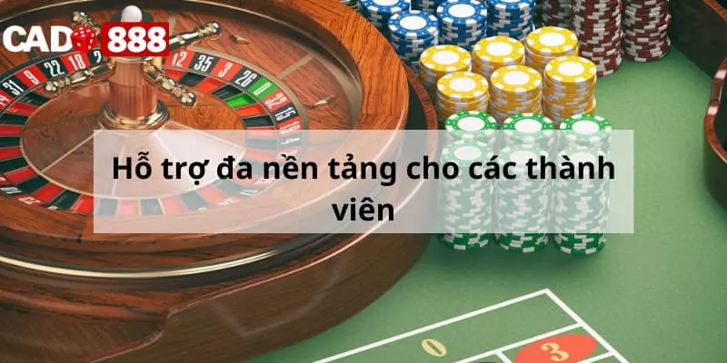 Hỗ trợ đa nền tảng cho các thành viên