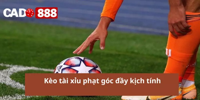 Kèo tài xỉu phạt góc đầy kịch tính