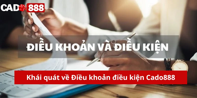 Khái quát về Điều khoản điều kiện Cado888