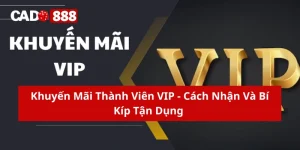 Khuyến mãi thành viên VIP