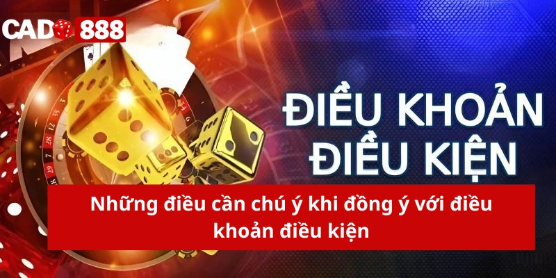 Những điều cần chú ý khi đồng ý với điều khoản điều kiện