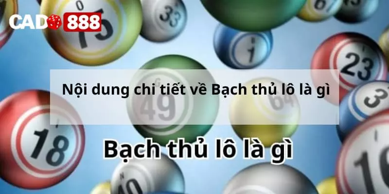 Nội dung chi tiết về Bạch thủ lô là gì