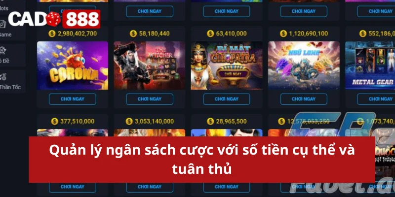 Quản lý ngân sách cược với số tiền cụ thể và tuân thủ