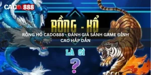 rồng hổ cado888