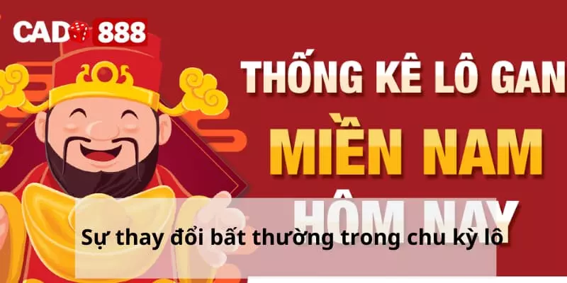 Sự thay đổi bất thường trong chu kỳ lô