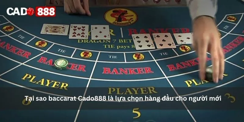 Baccarat Cado888