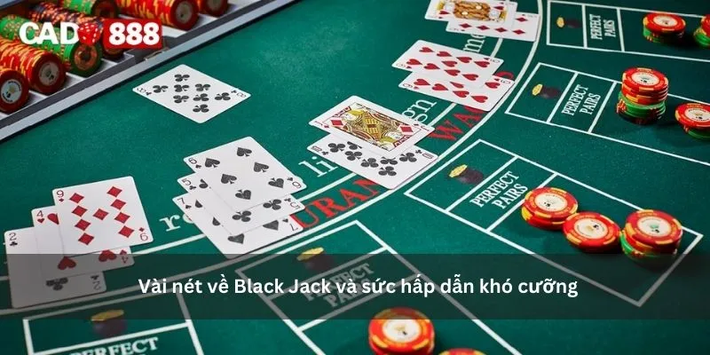 Black Jack Black Jack 